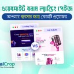 ওয়েবসাইট বনাম ল্যান্ডিং পেইজ: আপনার ব্যবসার জন্য কোনটি প্রয়োজন?