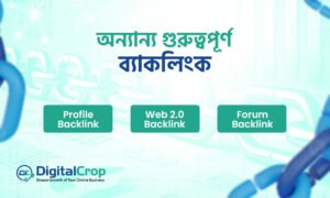 অন্যান্য গুরুত্বপূর্ণ ব্যাকলিংক প্রকার