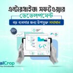 এন্টারপ্রাইজ সফটওয়্যার ডেভেলপমেন্ট