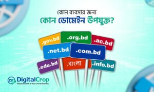 কোন ব্যবসার জন্য কোন ডোমেইন উপযুক্ত?