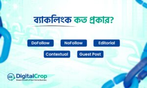 ব্যাকলিংক কত প্রকার?