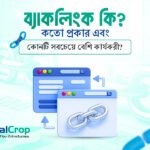 ব্যাকলিংক কি? কতো প্রকার এবং কোনটি সবচেয়ে বেশি কার্যকরী?